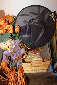 lot 99 image: Fall decorations