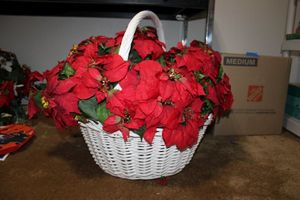 lot 136 image: Large white basket with poinsettias