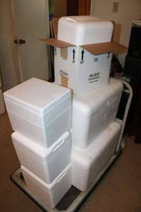 lot 254 image: Styrofoam coolers
