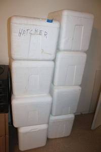 lot 255 image: Styrofoam coolers