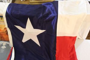 lot 161 image: Large Texas Flag