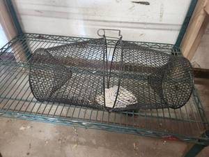 lot 179 image: Minnow trap