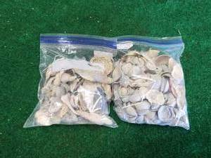 lot 329 image: 2 bags of shells