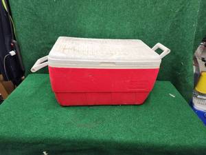 lot 423 image: Igloo cooler