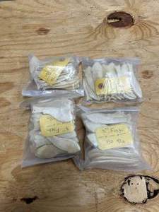 lot 505 image: Selection of hand carved bone fish for jewelry or craft making