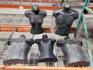 lot 455 image: Lot of 5 Torso Mannequins