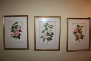 lot 377 image: Wall art - 3 Paul Jones flower prints
