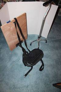 lot 398 image: Bedside rail and walking cane