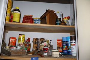 lot 537 image: Household items bug killers, spray paint, oil can and more
