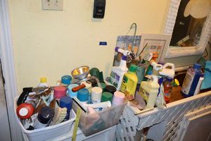 lot 524 image: Spray paints and garden sprays
