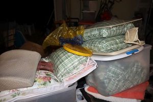 lot 568 image: Green and white pillows with matching bed skirt and more