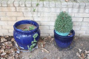 lot 598 image: Blue glazed planters with bases