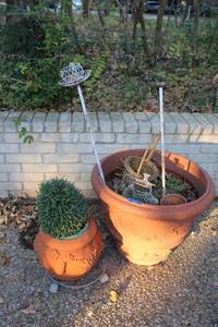 lot 600 image: Large plastic planter and one terra cotta planter as shown