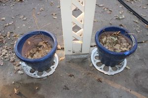 lot 607 image: Pair of blue glazed planters with bases