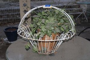 lot 624 image: Wire planter basket