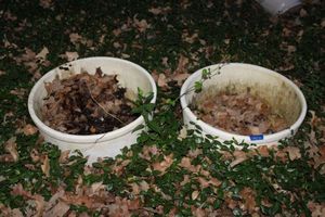 lot 643 image: Pair of ceramic planters