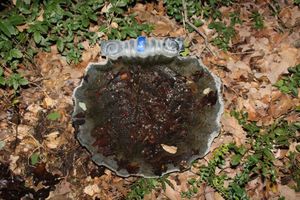 lot 646 image: Cast iron garden shell bird bath