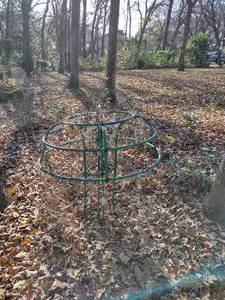 lot 647 image: Short Green umbrella trellis