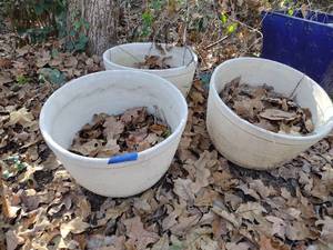 lot 683 image: Planters - 3 total