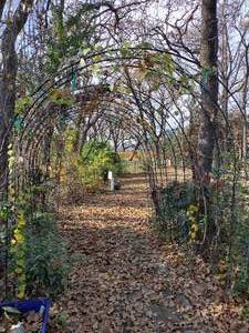 lot 686 image: Garden path archways -2 total (bring tools to remove)