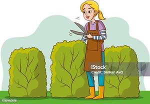 lot 695 image: Extra thought  Bring garden tools for garden items that may need pruning to remove