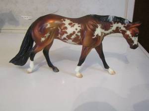 lot 194 image: APPALOOSA