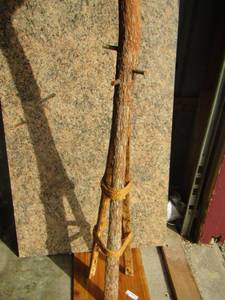 lot 70 image: tree coat rack