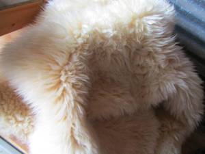 lot 101 image: Genuine Lambskin