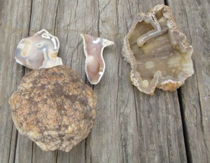 lot 124 image: GEODES SPLIT Qty 4