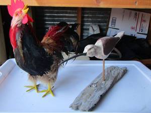 lot 395 image: qty 2 bird dcor