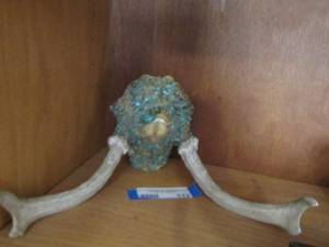lot 112 image: antlers