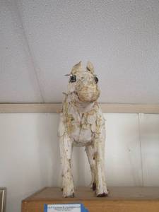 lot 37 image: Horse dcor