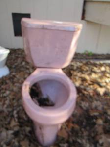 lot 195 image: THE INFAMOUS PINK TOILET  ( WE ARENT SELL THE KITCHEN SINK   BUT ...)