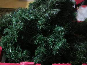 lot 211 image: greenery, plus