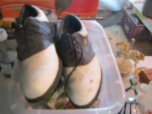 lot 101 image: golfing shoes, golf supplies