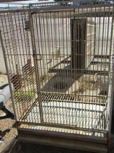 lot 546 image: very large bird cage, can be used for many other animals, like sugar gliders, and such