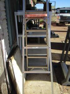 lot 549 image: Werner 6ft ladder