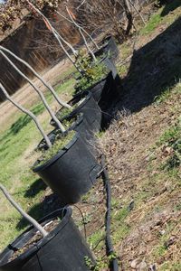 lot 32 image: Drip Irrigation Hose Approximately 50 yards