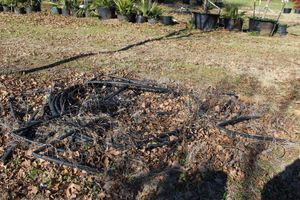 lot 35 image: Large Amount of Drip Irrigation Hose