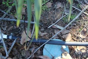 lot 39 image: Drip Irrigation Hose Approximately 50 yards