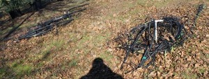 lot 40 image: Large Amount of Drip Irrigation Hose