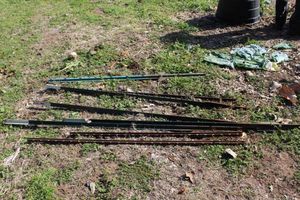 lot 54 image: T Posts