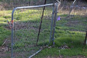 lot 131 image: 68 Feet of 4Ft Fencing with 4.5ft Gate and Posts Buyer is Responsible for Removal of Fencing, Posts and Gate