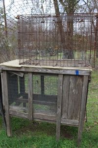 lot 45 image: Chicken Coop for Young Chicks