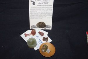 lot 290 image: Petrified Wood Pieces and More