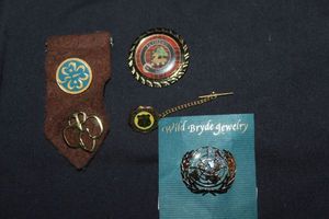 lot 338 image: Pins as Shown in Photos