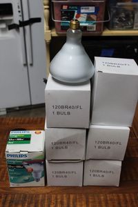 lot 105 image: Light Bulbs