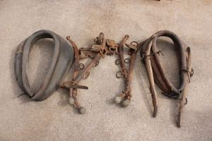 lot 2 image: VintageAntique oxen harnesses and hames