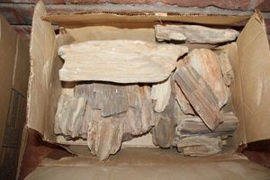 lot 62 image: Petrified wood