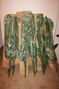 lot 109 image: Artificial greenery approx. 5 ft. tall